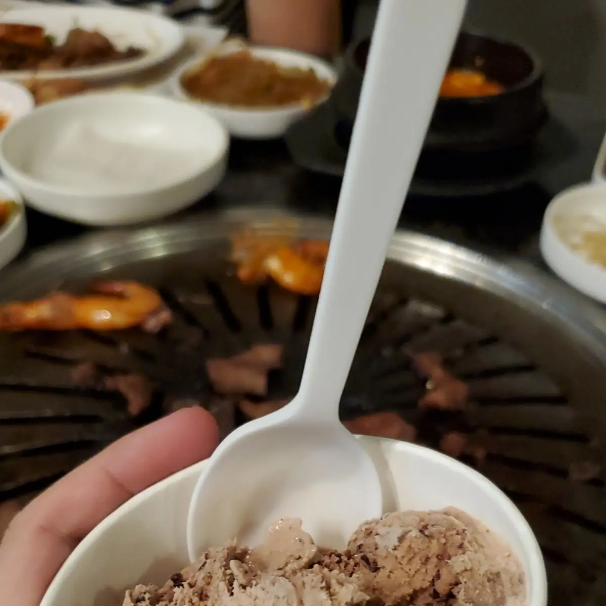 Chocolate Ice Cream