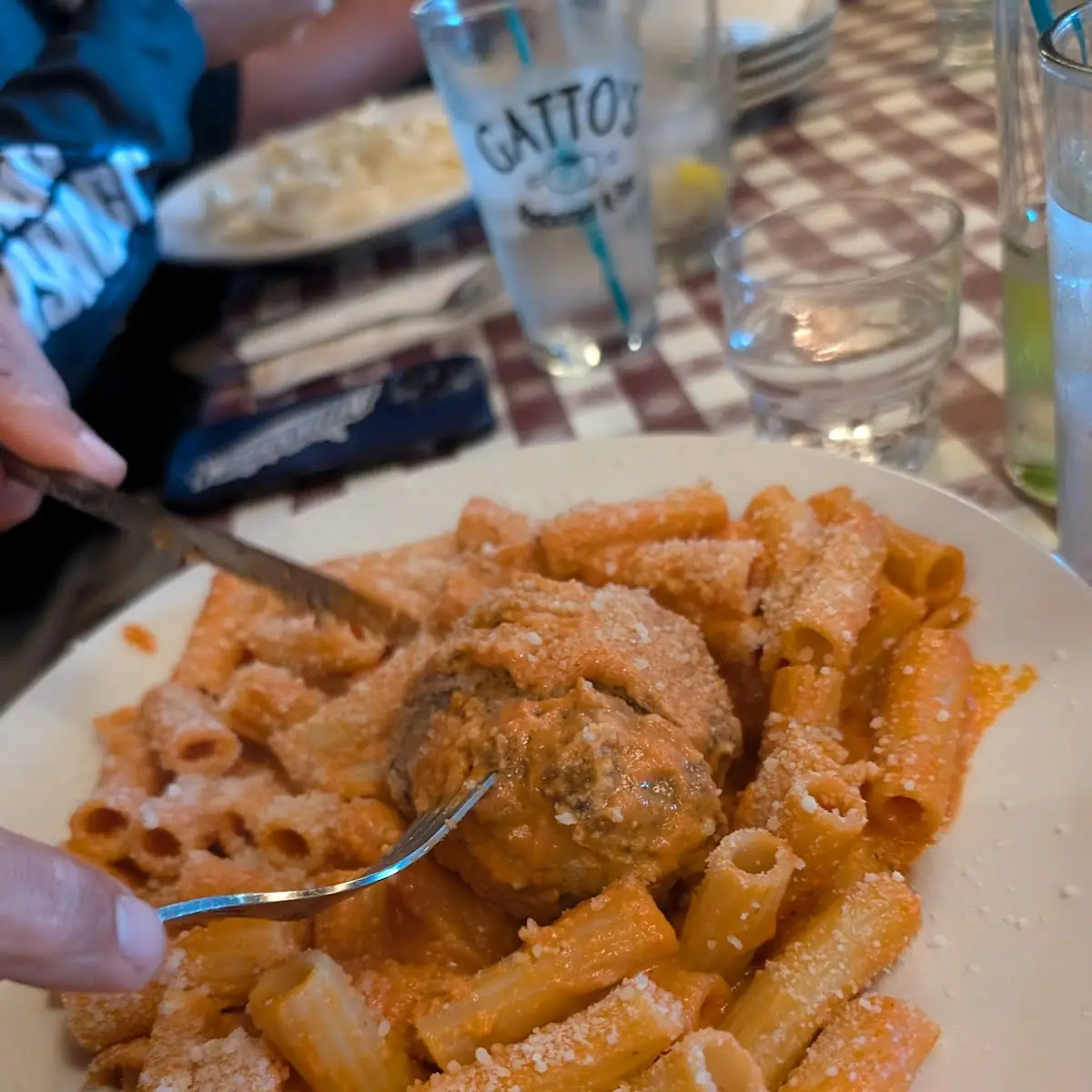 Rigatoni Vodka Sauce