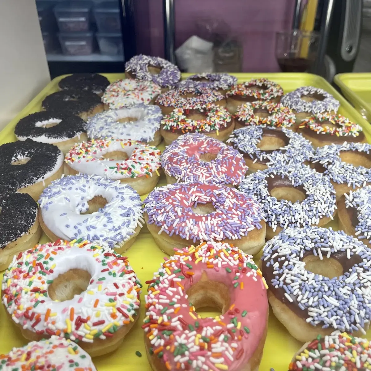 Dozen Sprinkles Donuts