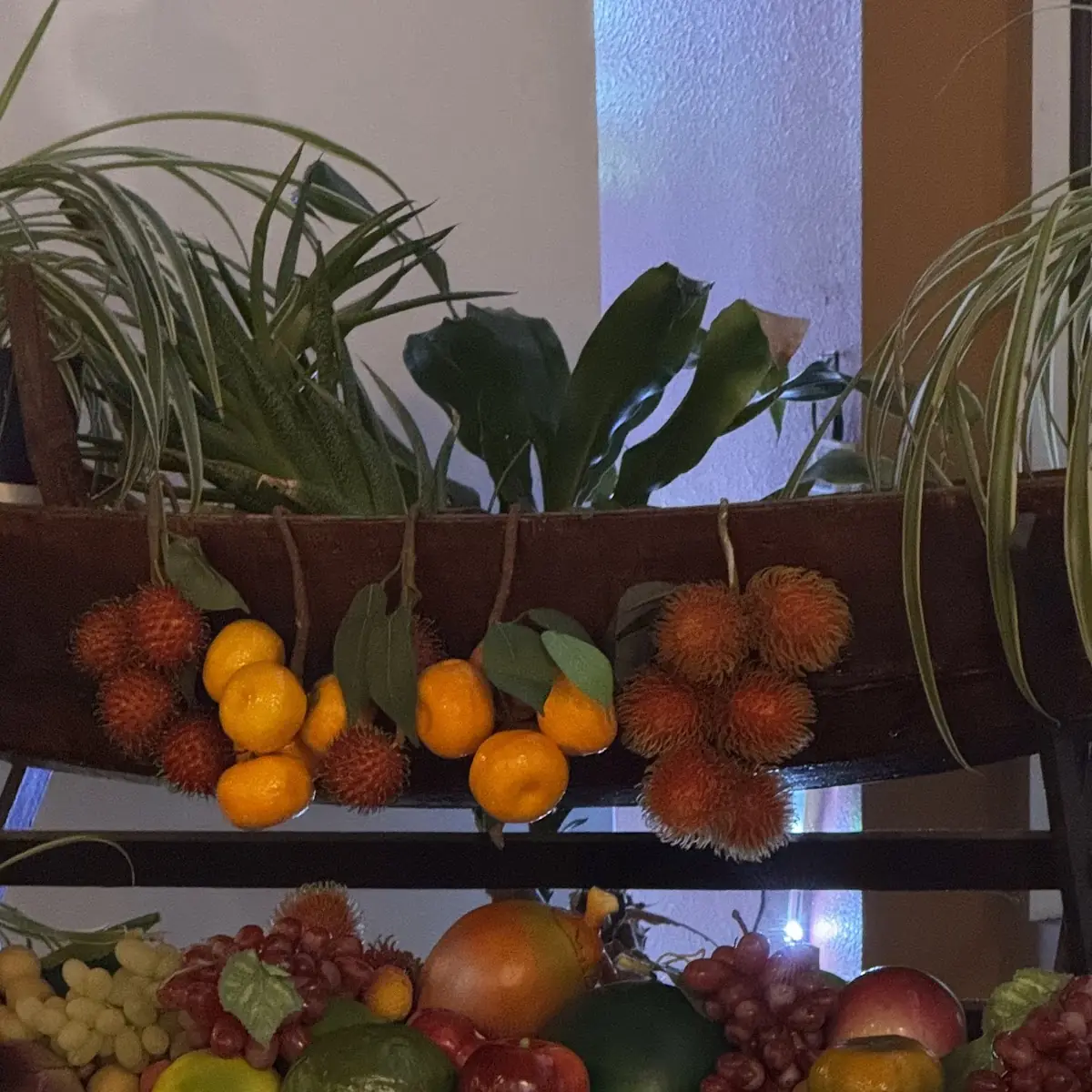 Fresh Fruit