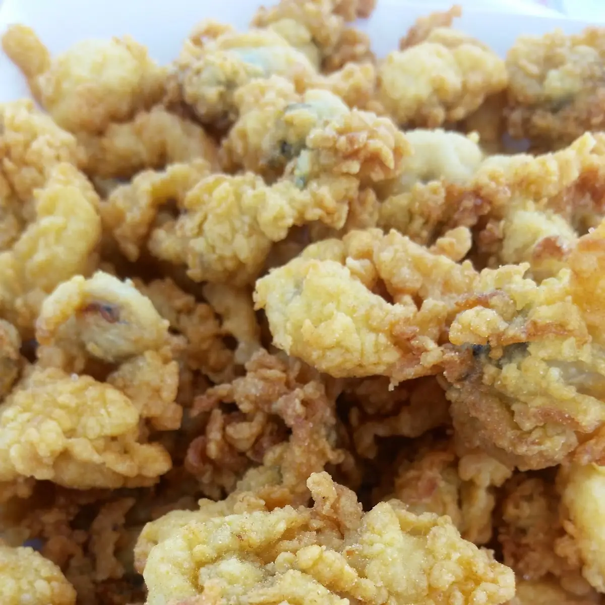 Fried Clams