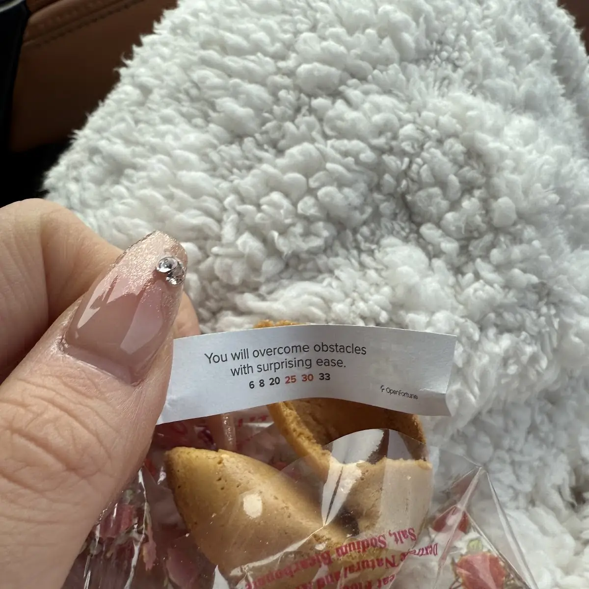 Fortune Cookies