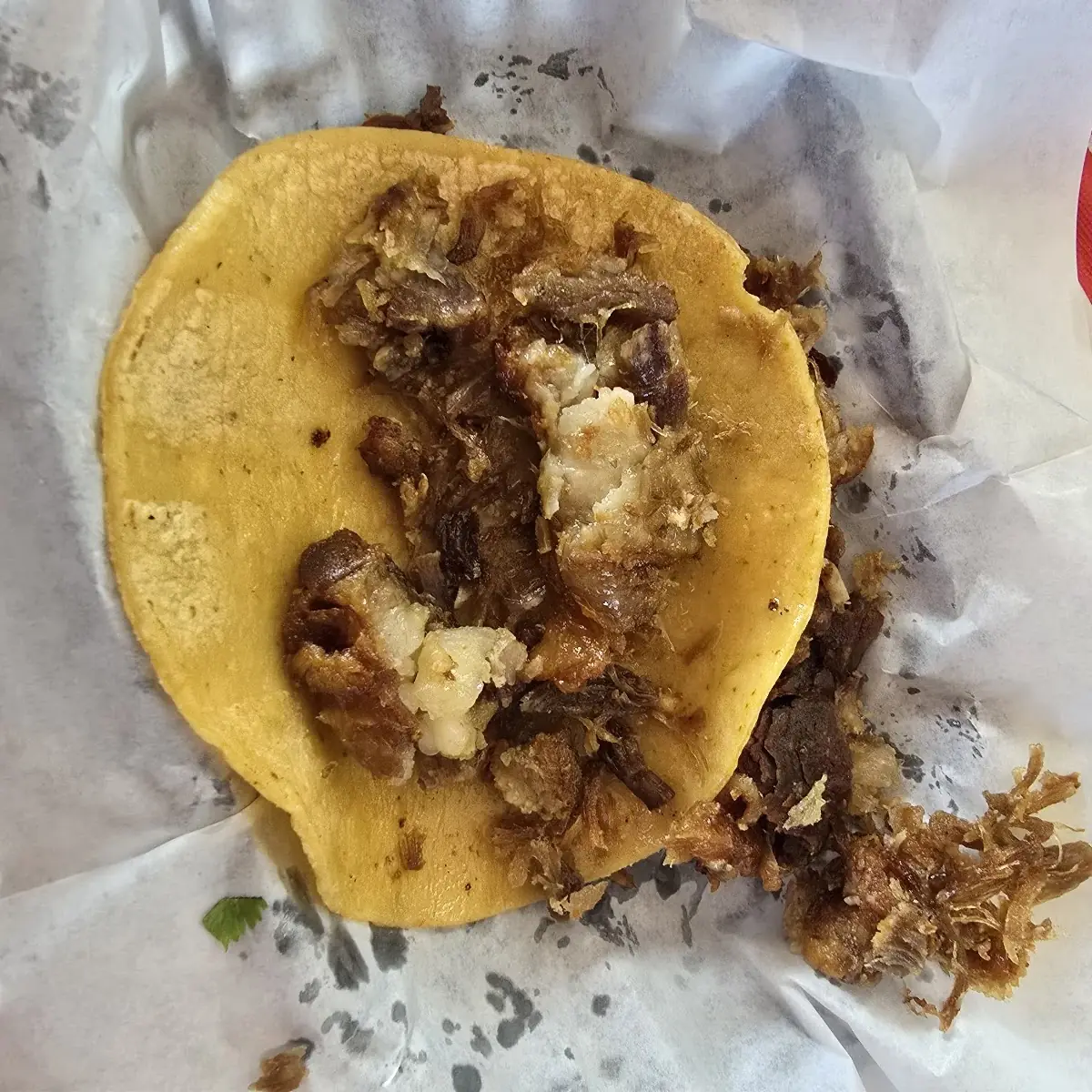 Carnitas Taco