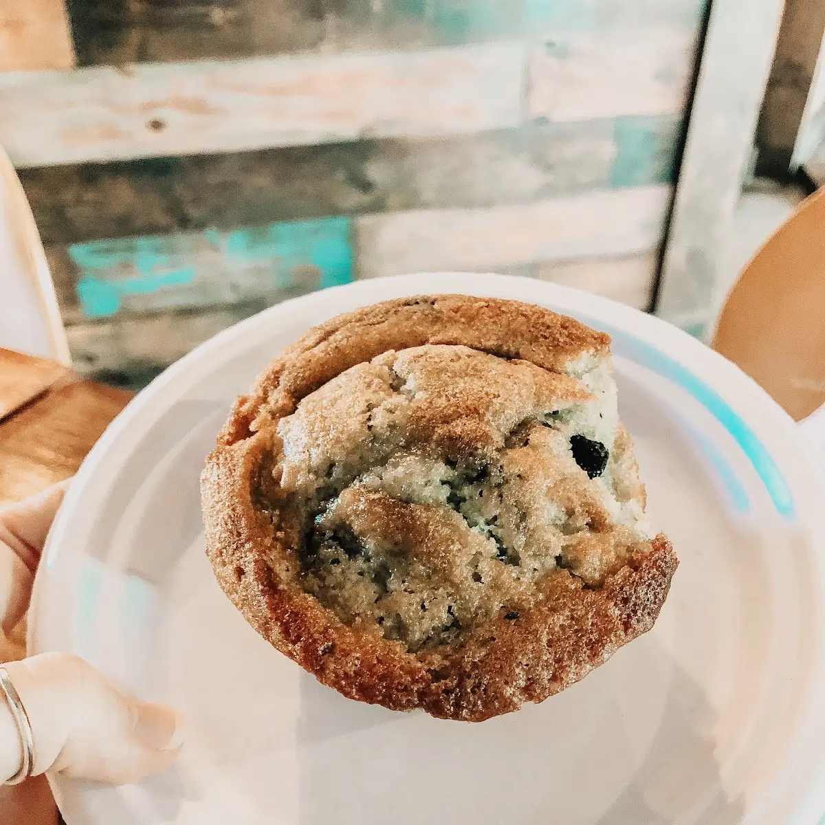 Blueberry Muffin