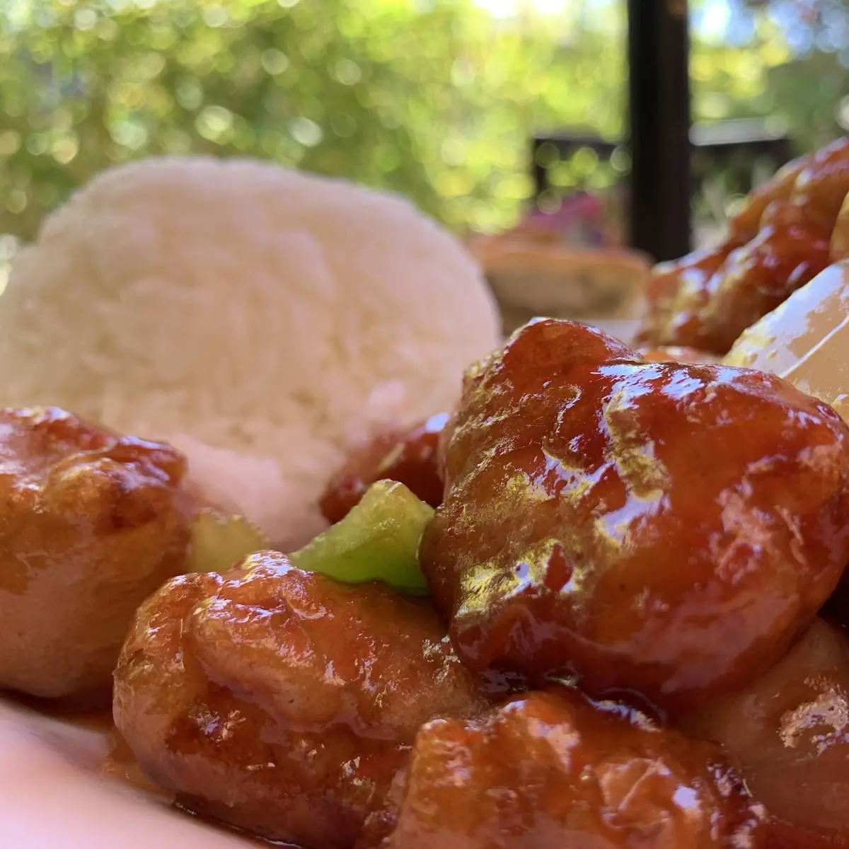 Sweet and Sour Chicken
