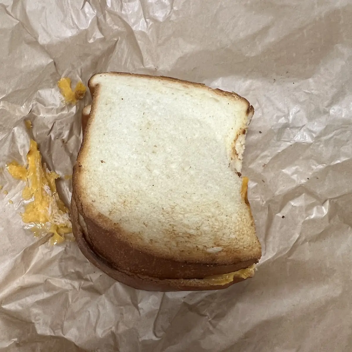 Grilled Cheese Sandwich