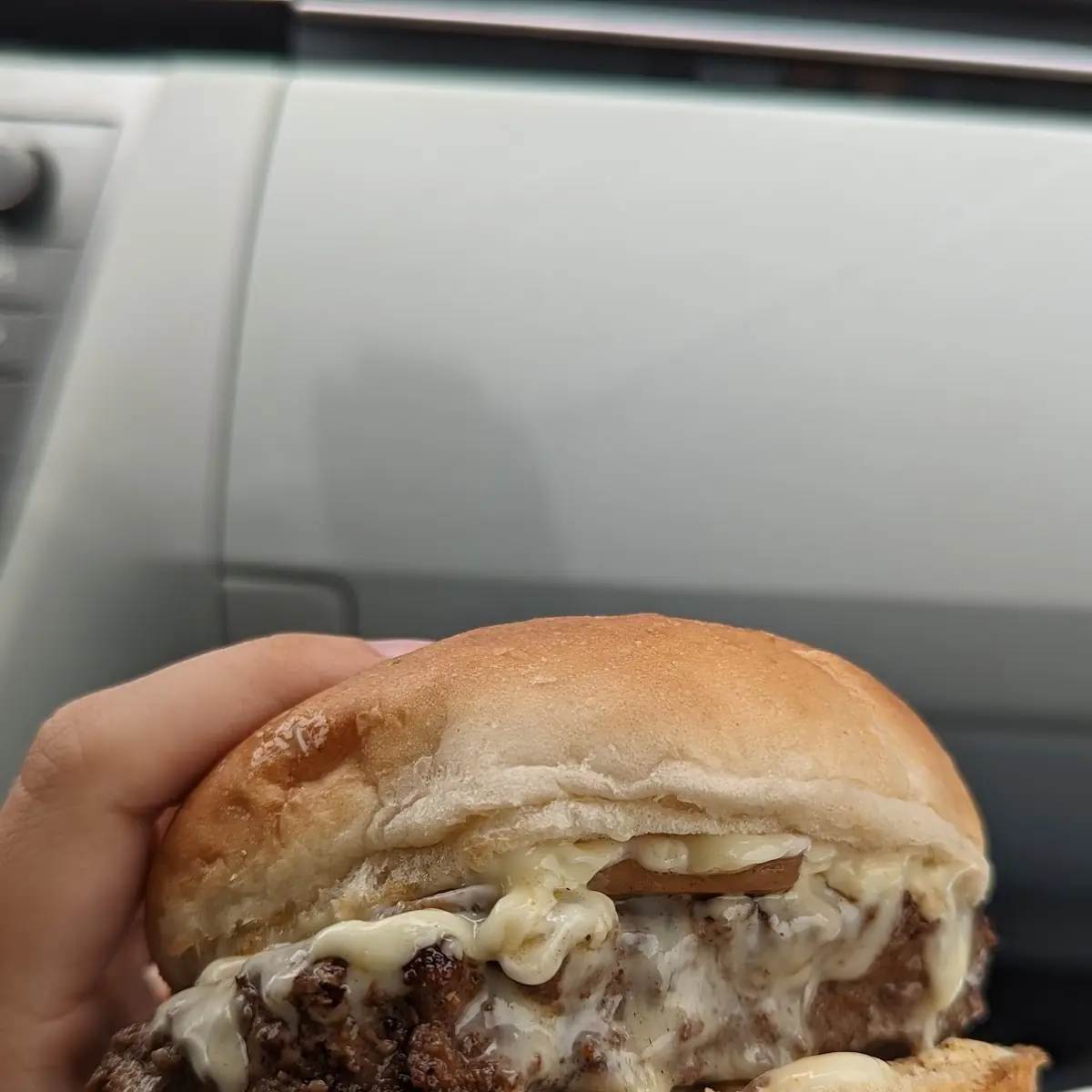 Mushroom & Swiss
