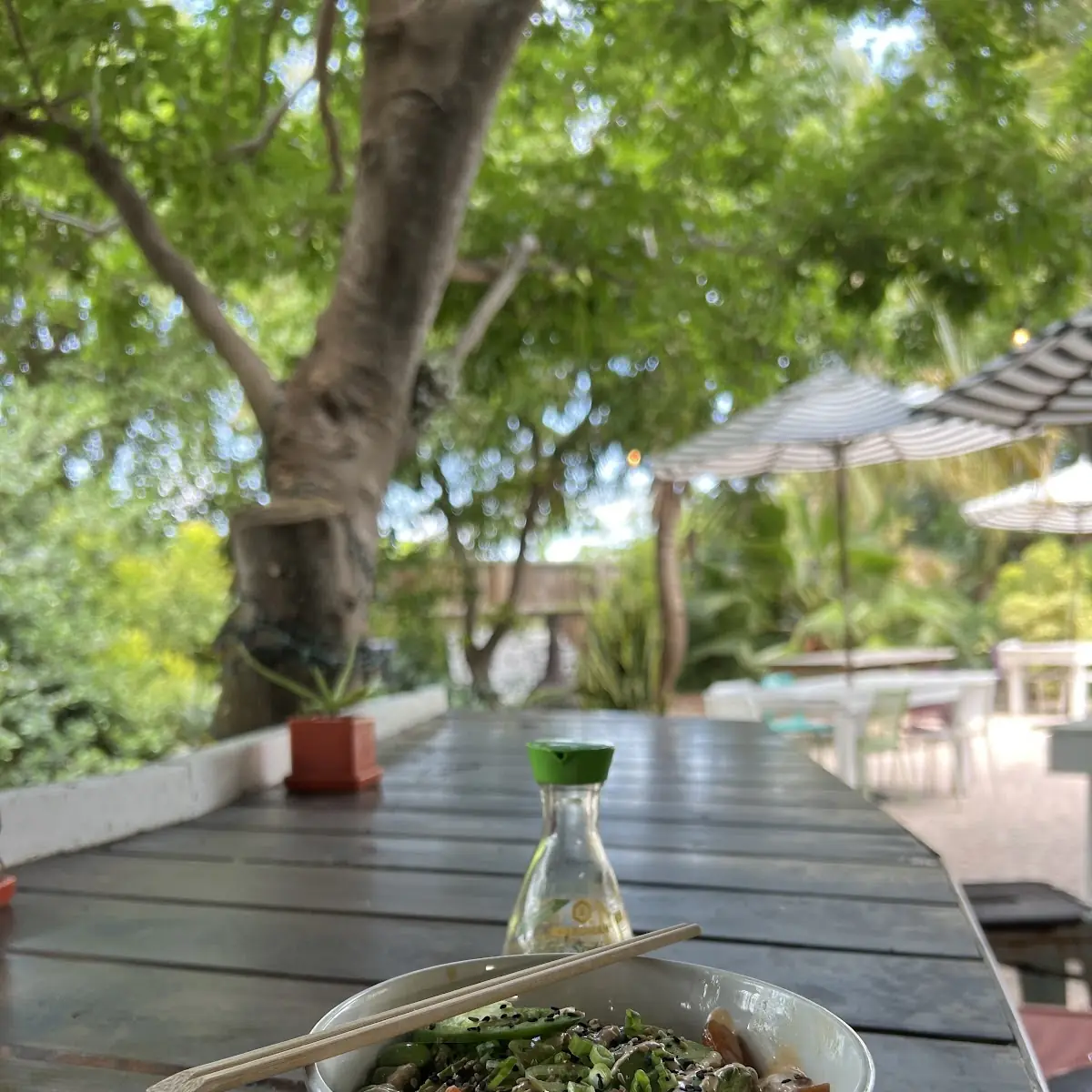 Tuna Poke Bowl