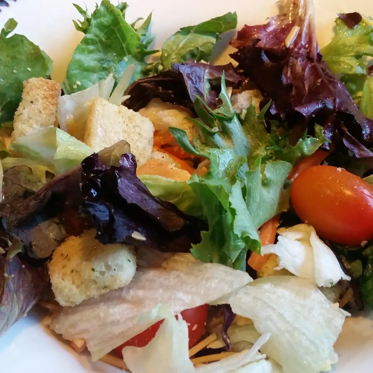 Garden Salad