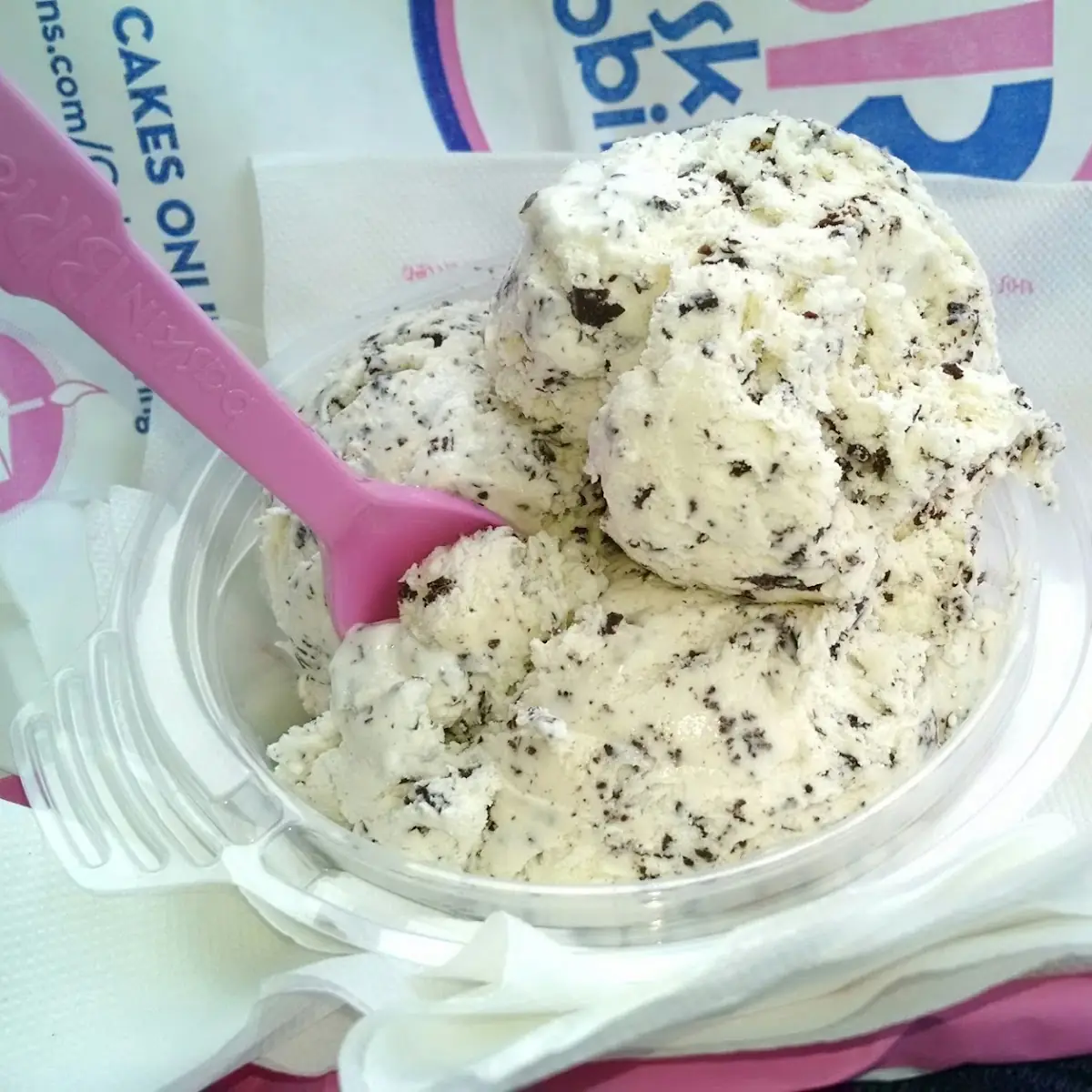 Chocolate Chip Ice Cream