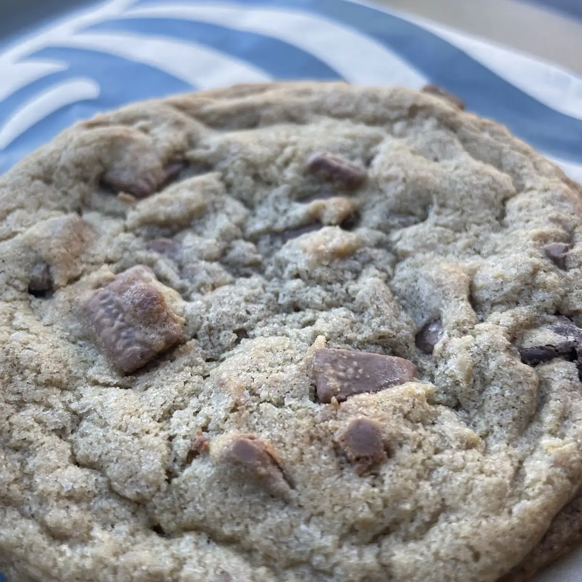 Chocolate Chip Cookie