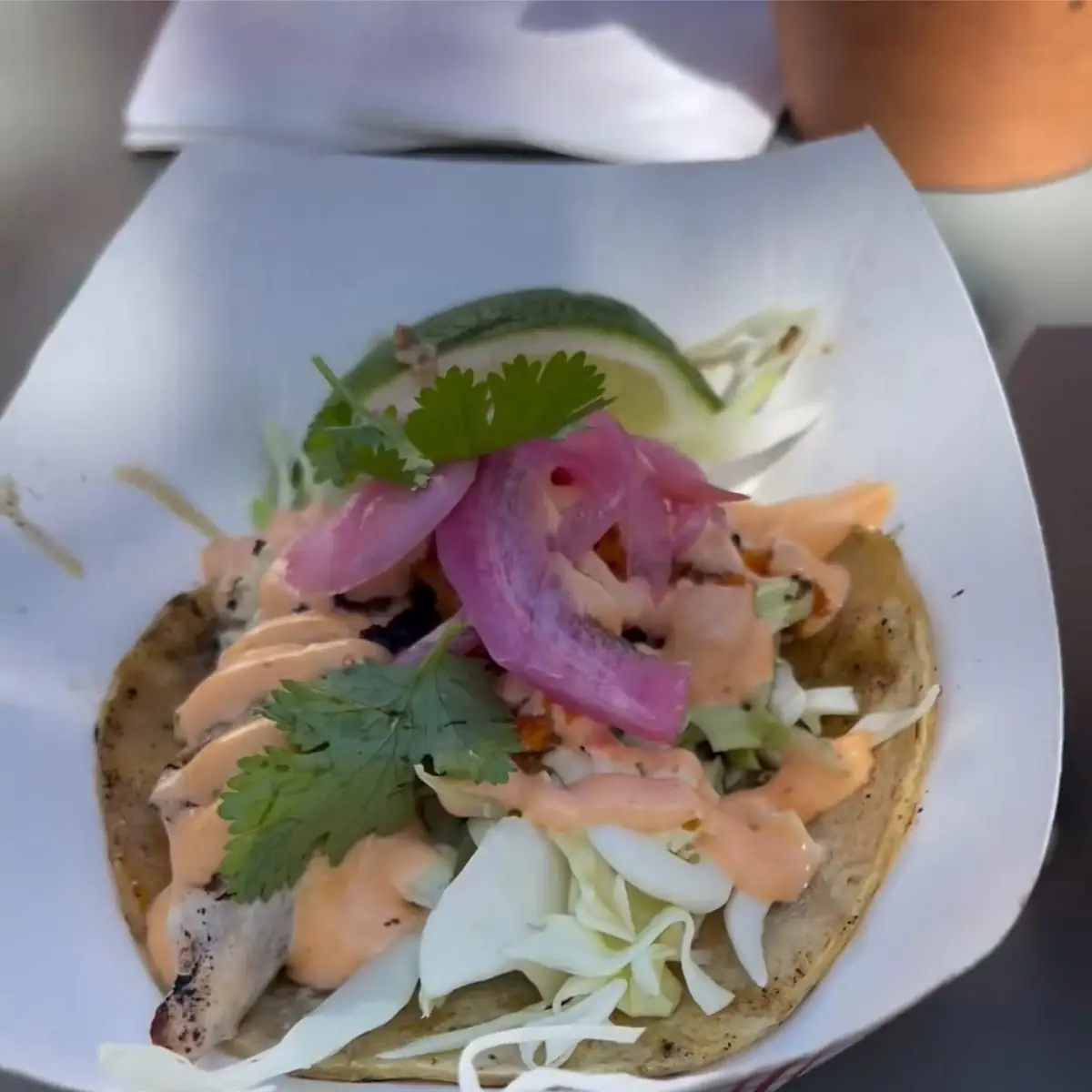 Tempura and Grilled Fish Tacos