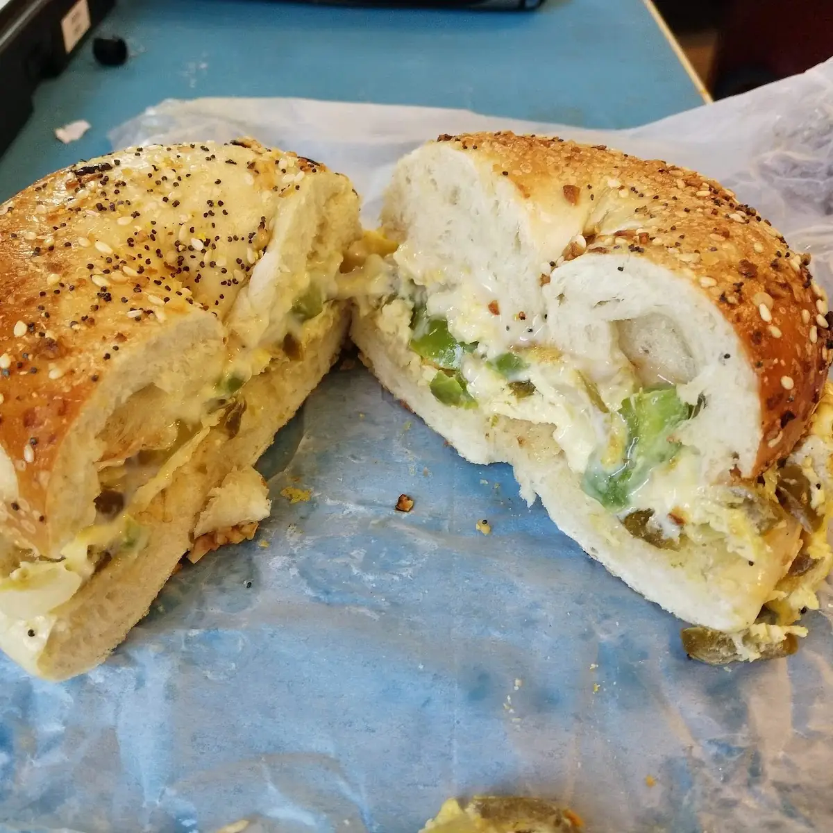 Tucker on a Everything Bagel