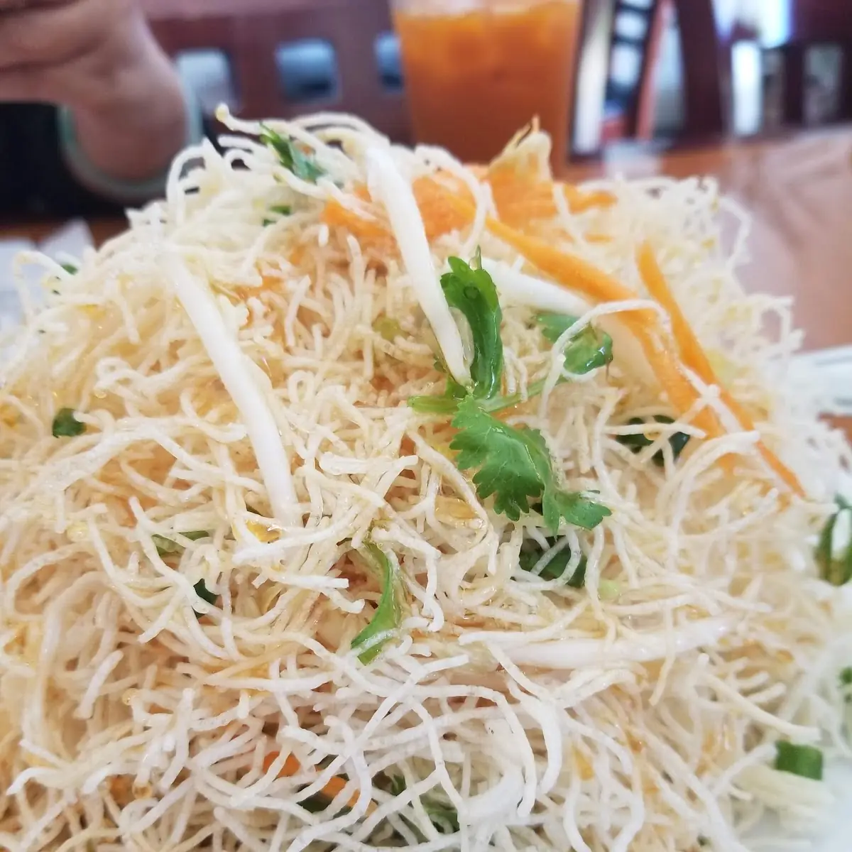 Crispy Rice Noodle