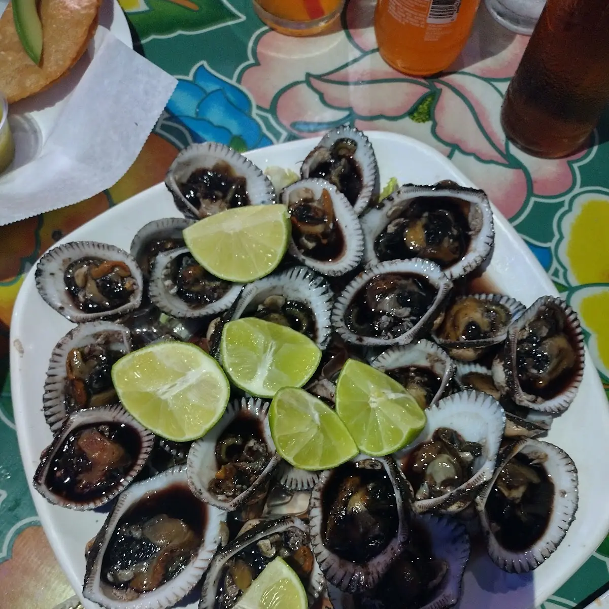 Concha Negra Black Clam