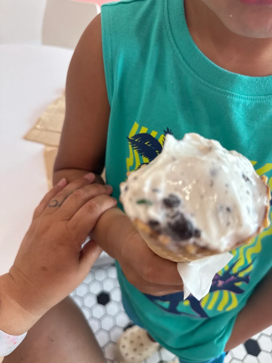 Chocolate Chip