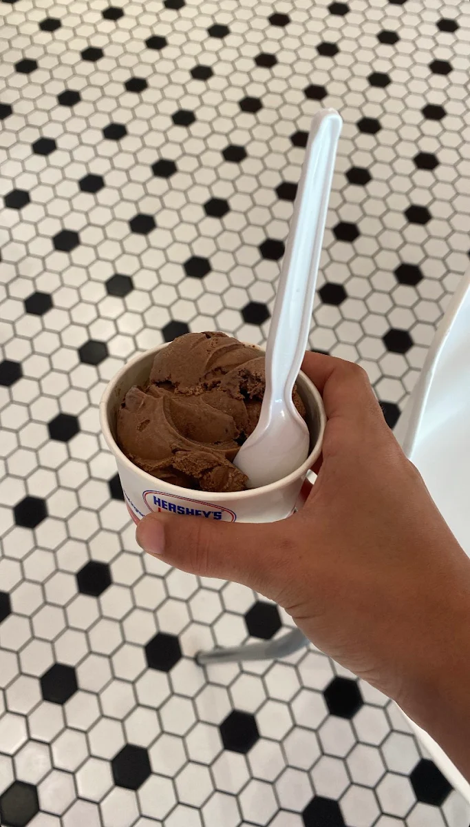Chocolate Ice Cream