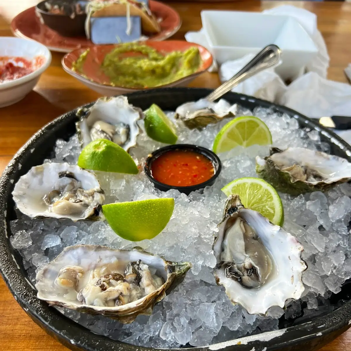 Oysters on the Half Shelf