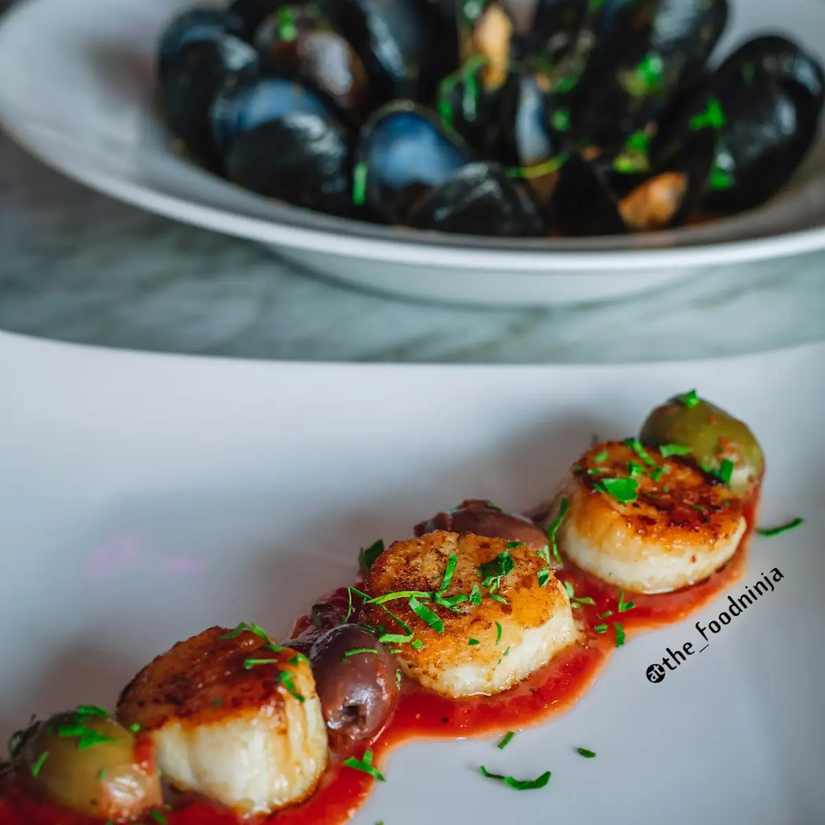 Sea Scallops