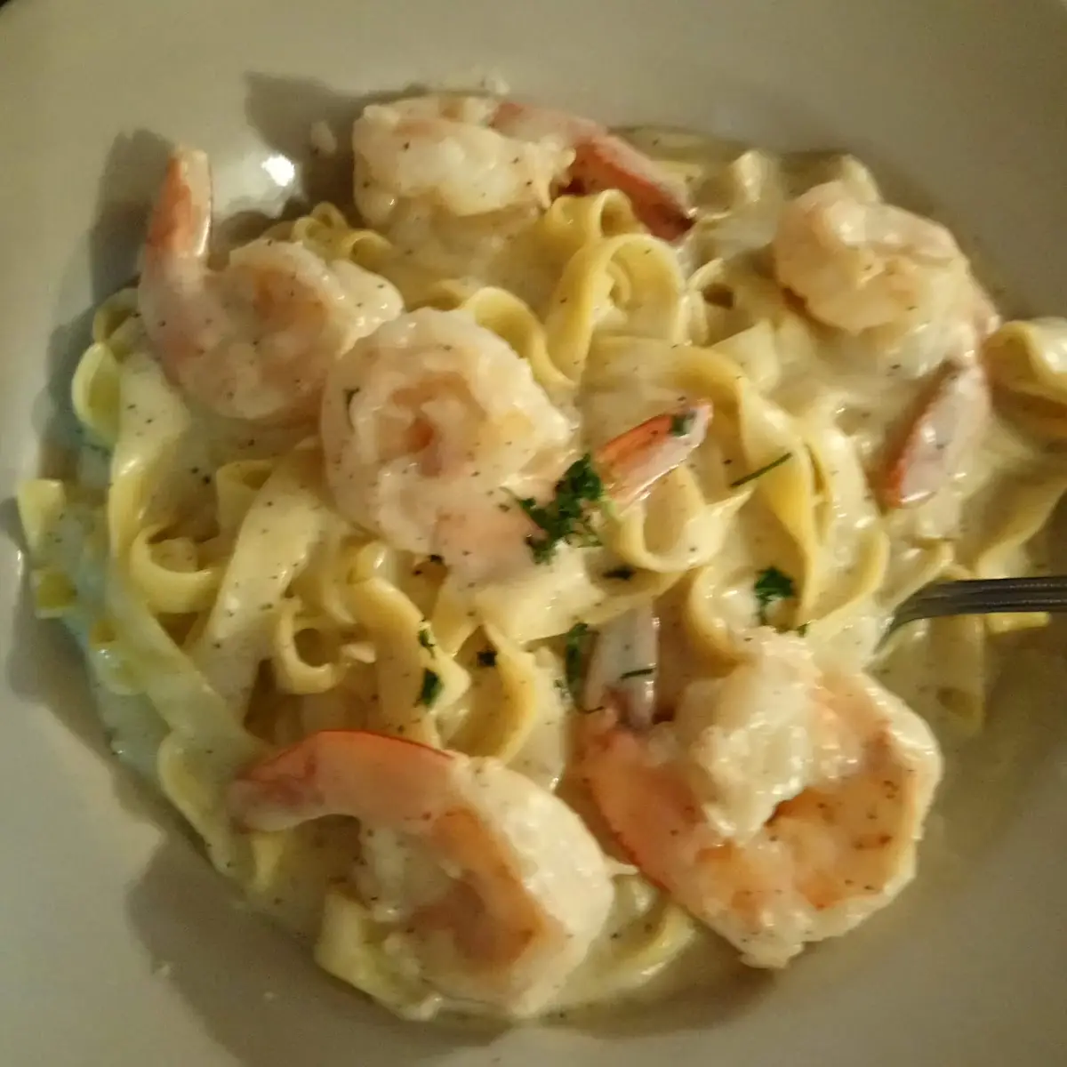 Shrimp Alfredo