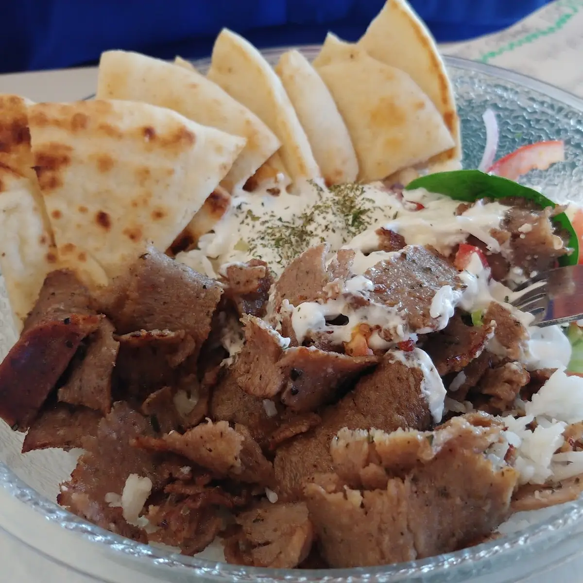 Gyro Plate