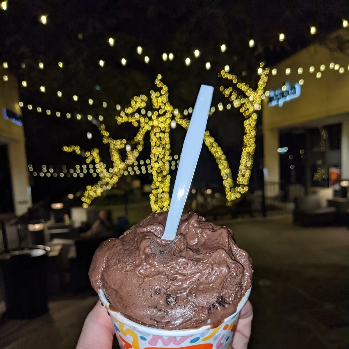 Vegan Chocolate Ice Cream