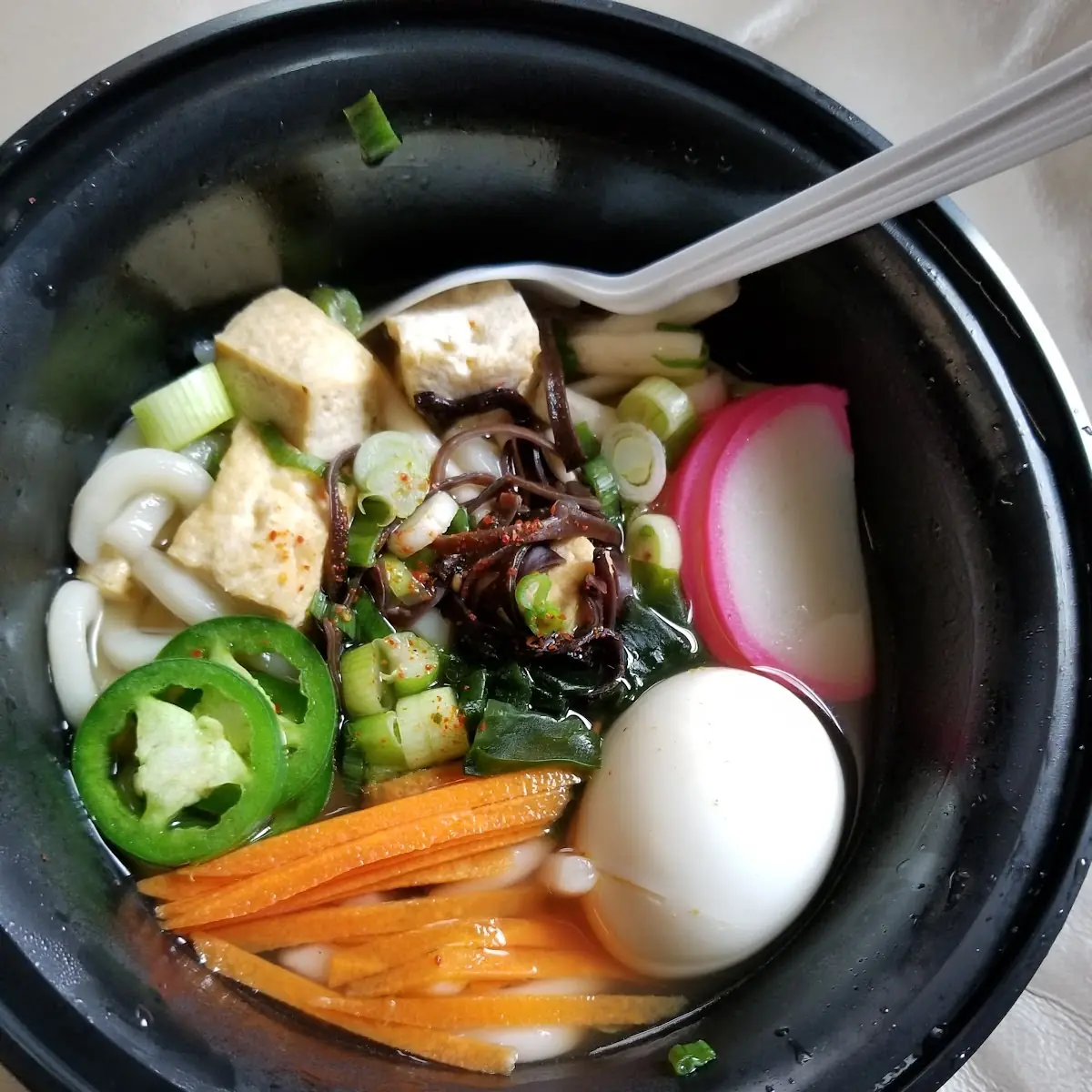 Udon Noodle Soup