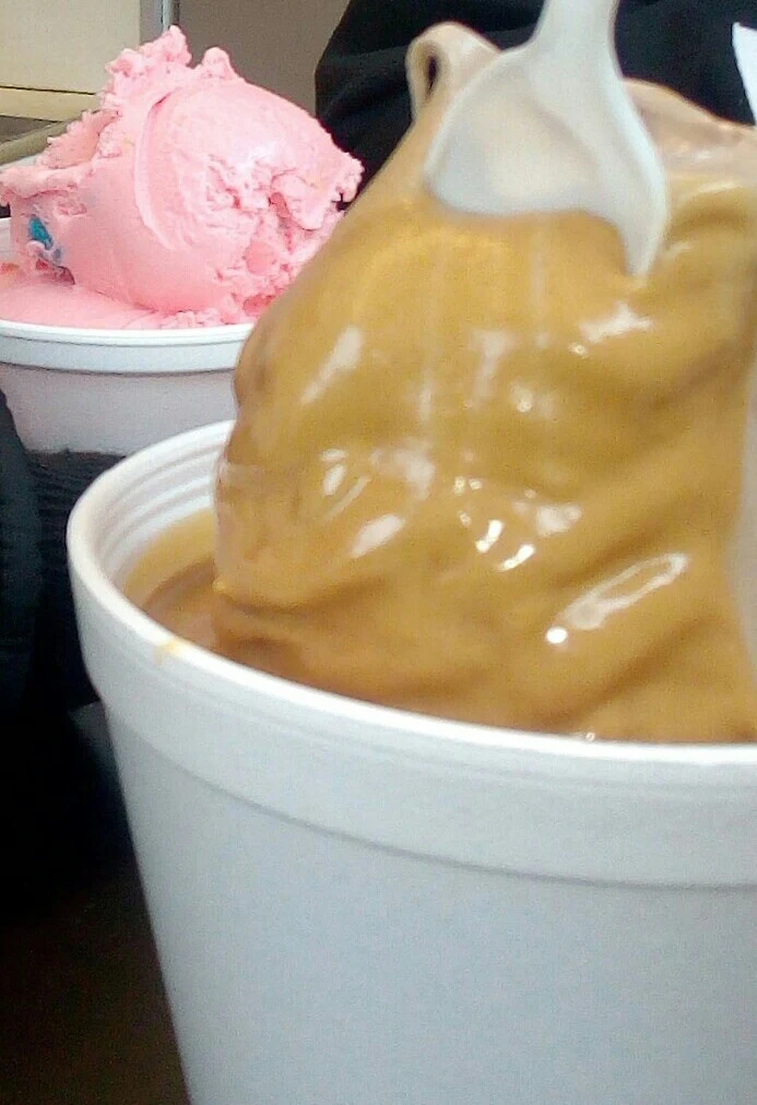 Chocolate Peanut Butter Ice Cream