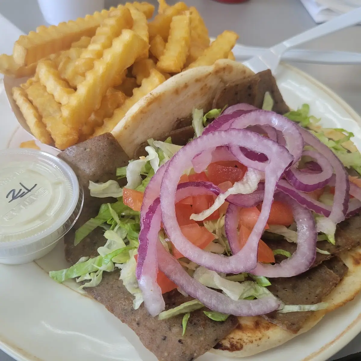 Gyro w Fries
