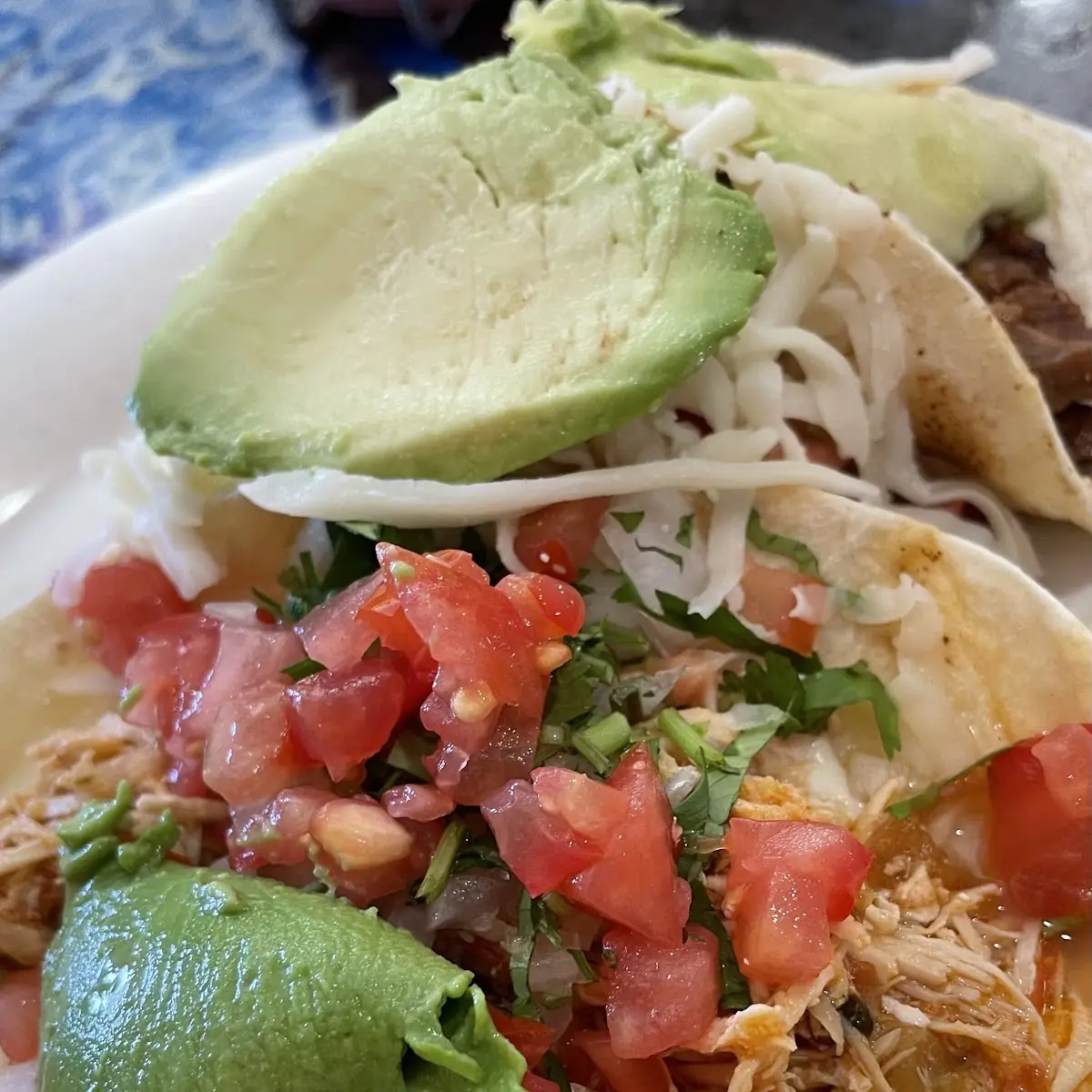 Chicken Quesadilla