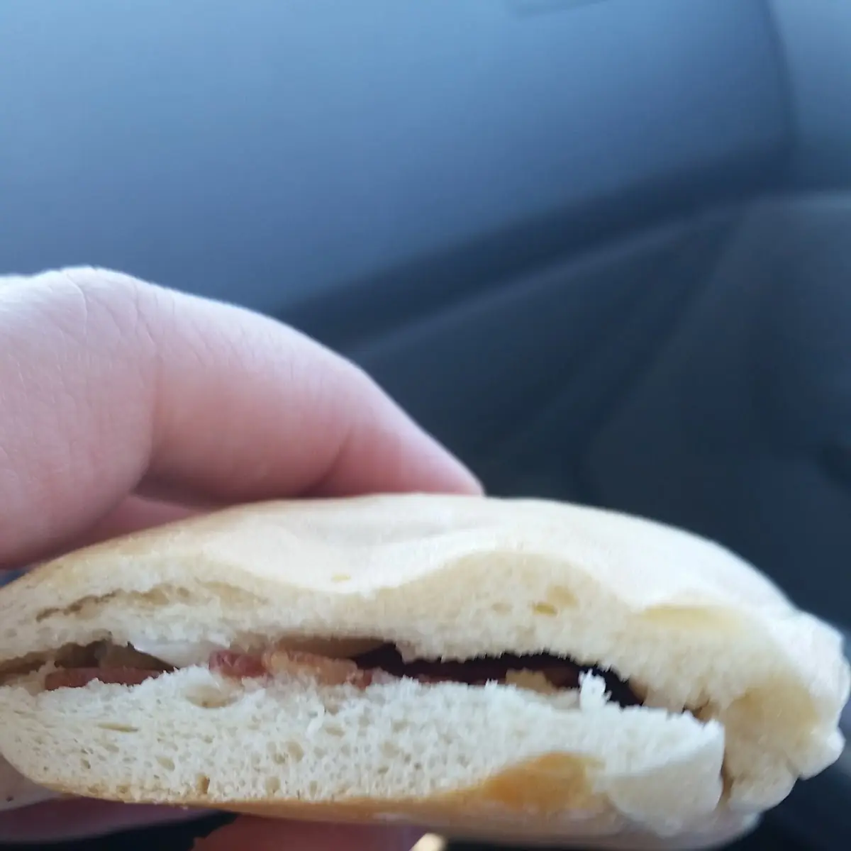Sealed Crustless Sandwich