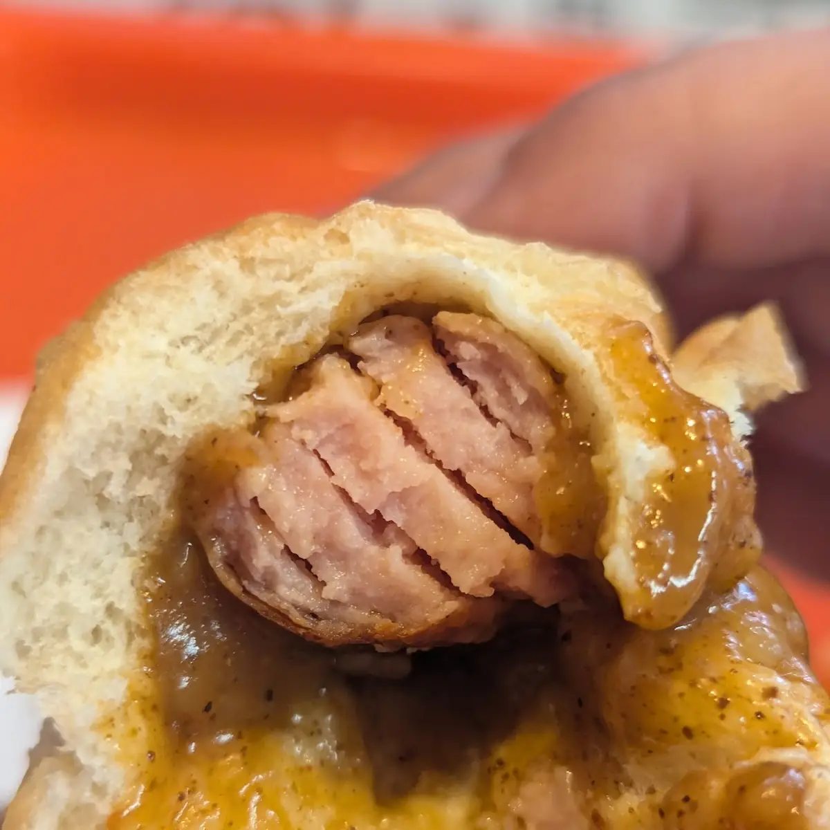 Cheese Dog