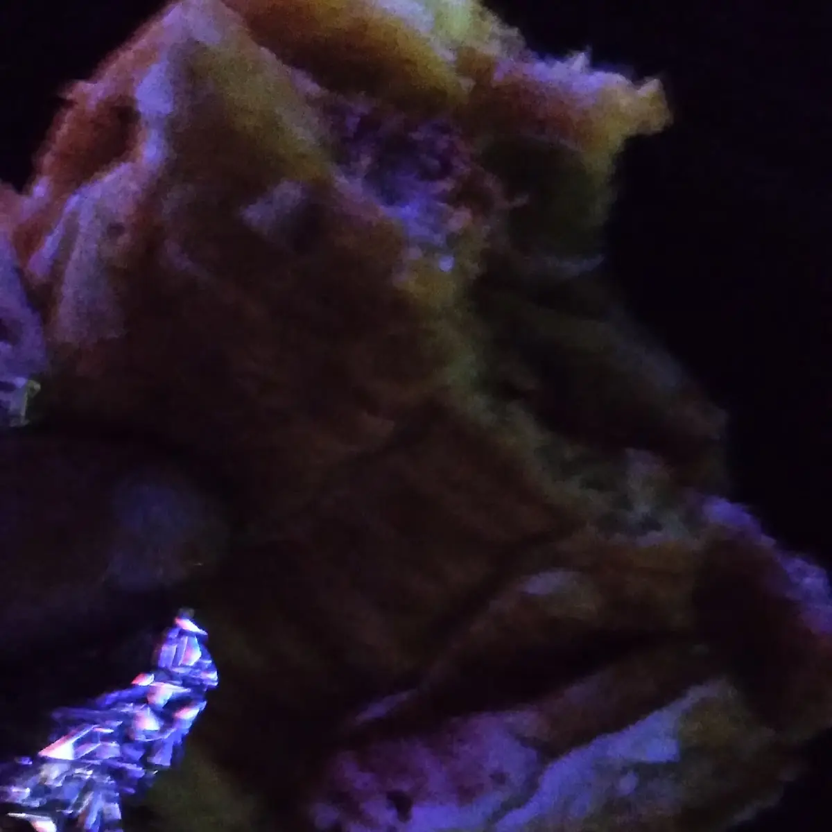 Cubana Torta
