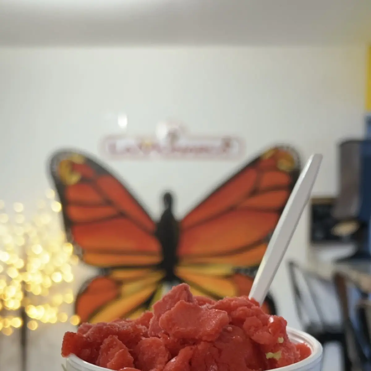 Frozen Yogurt
