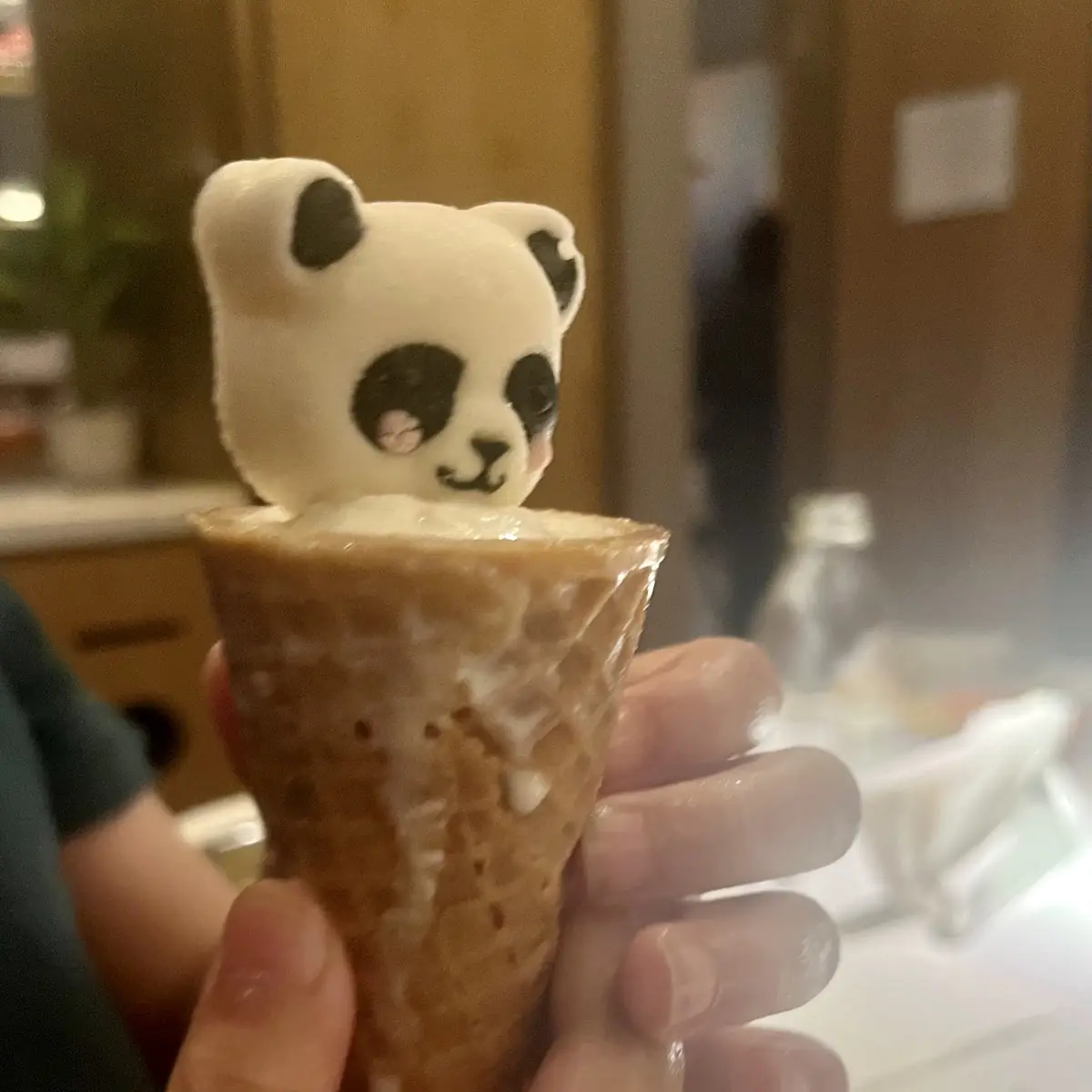 Ice Cream Cone