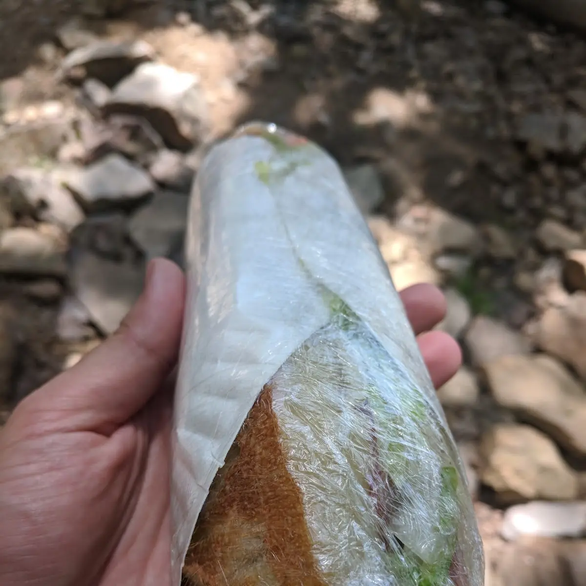 Italian Sub