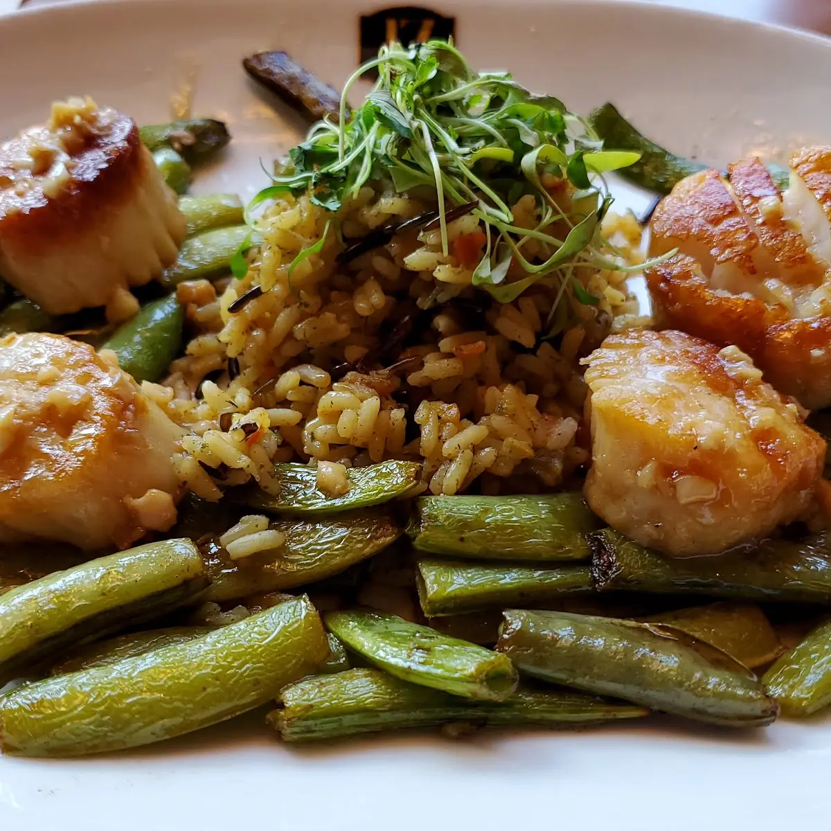 Sea Scallops