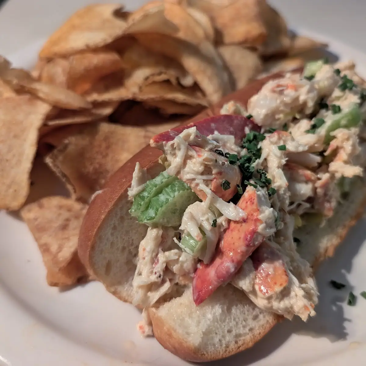 Lobster Roll