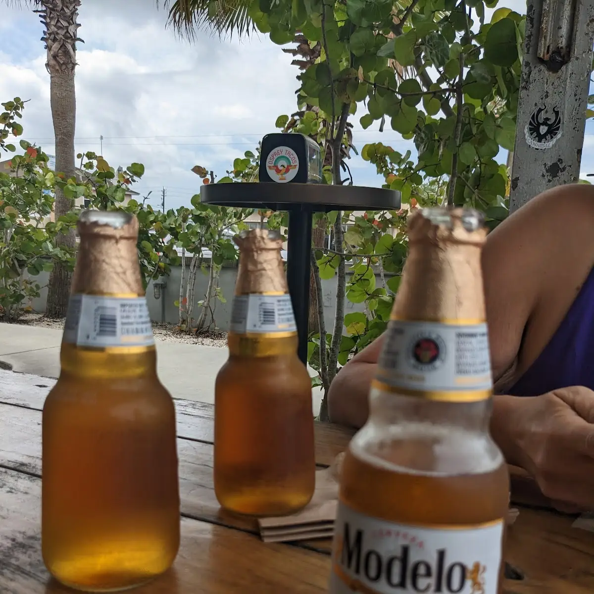Modelo Especial