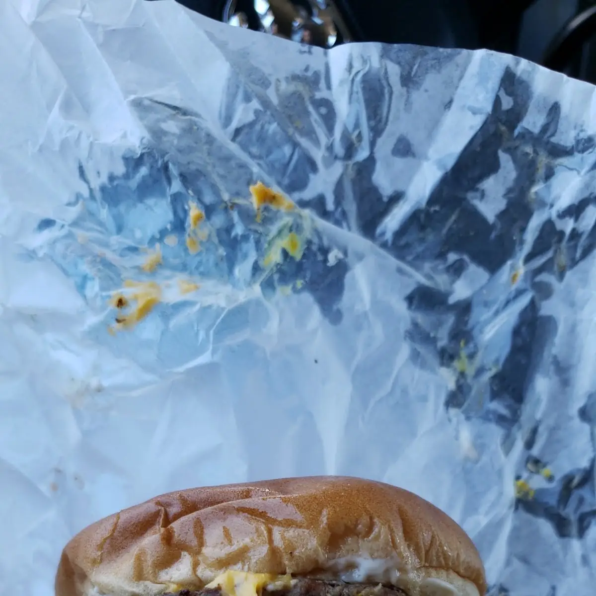 Double Cheeseburger