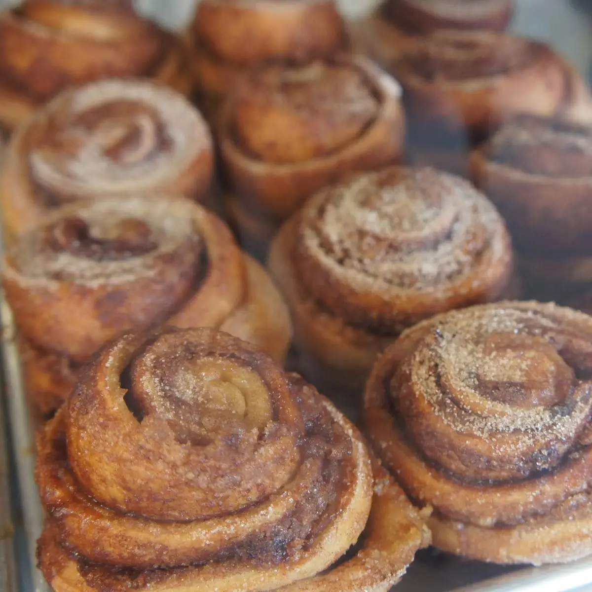 Cinnamon Roll Dine In