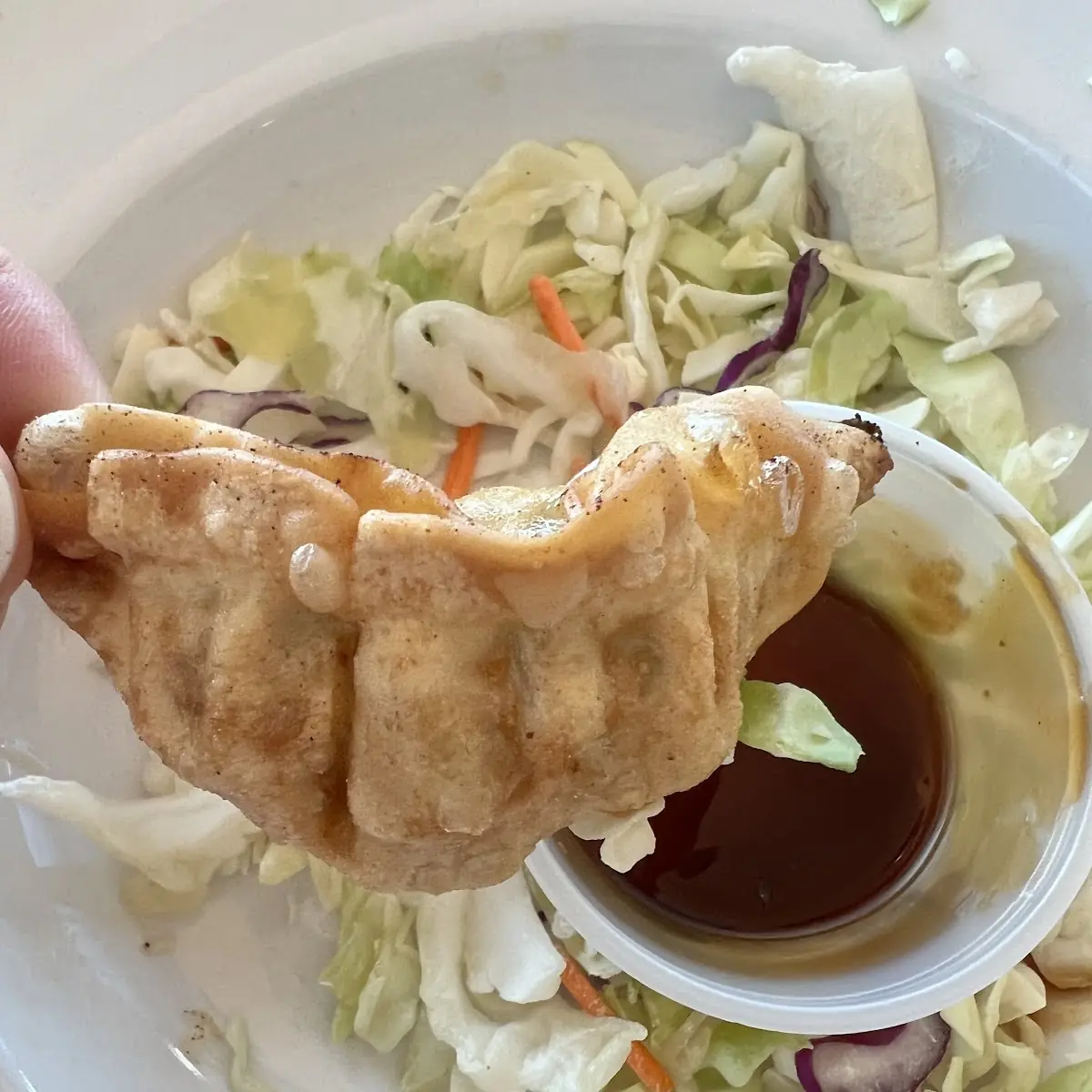Fried Pot Stickers