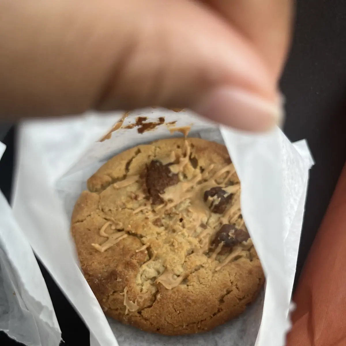 Chocolate Chip Cookie