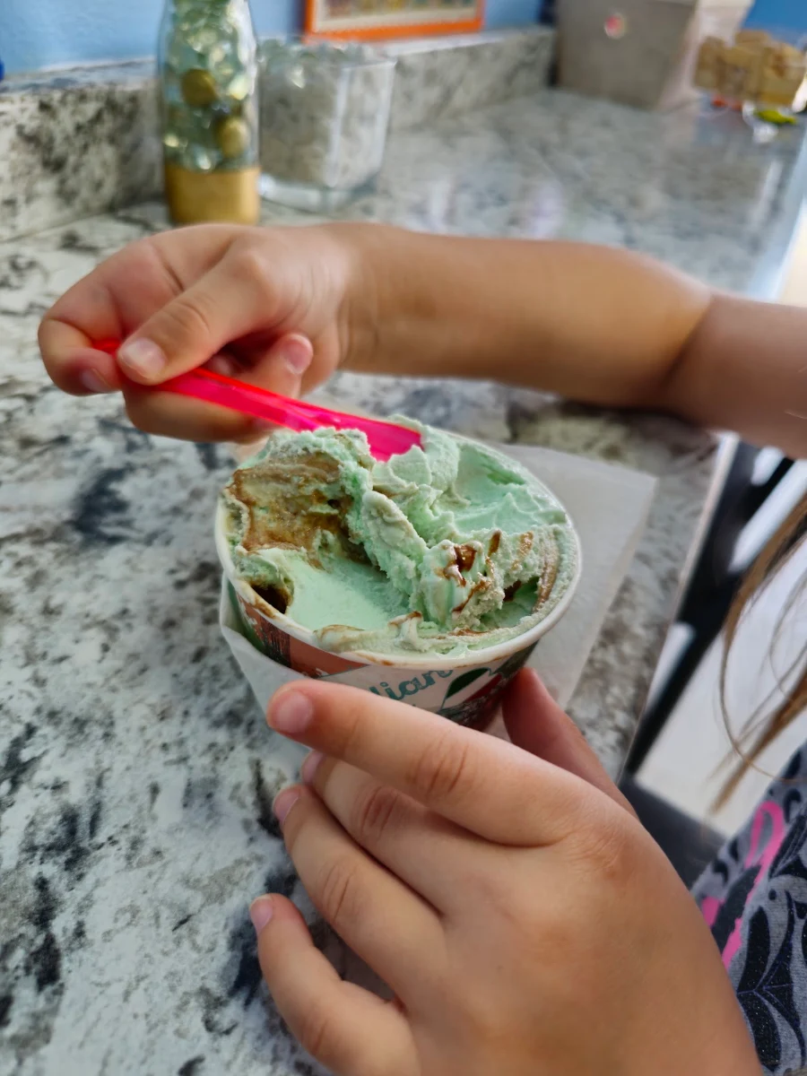 Mint Chocolate Gelato