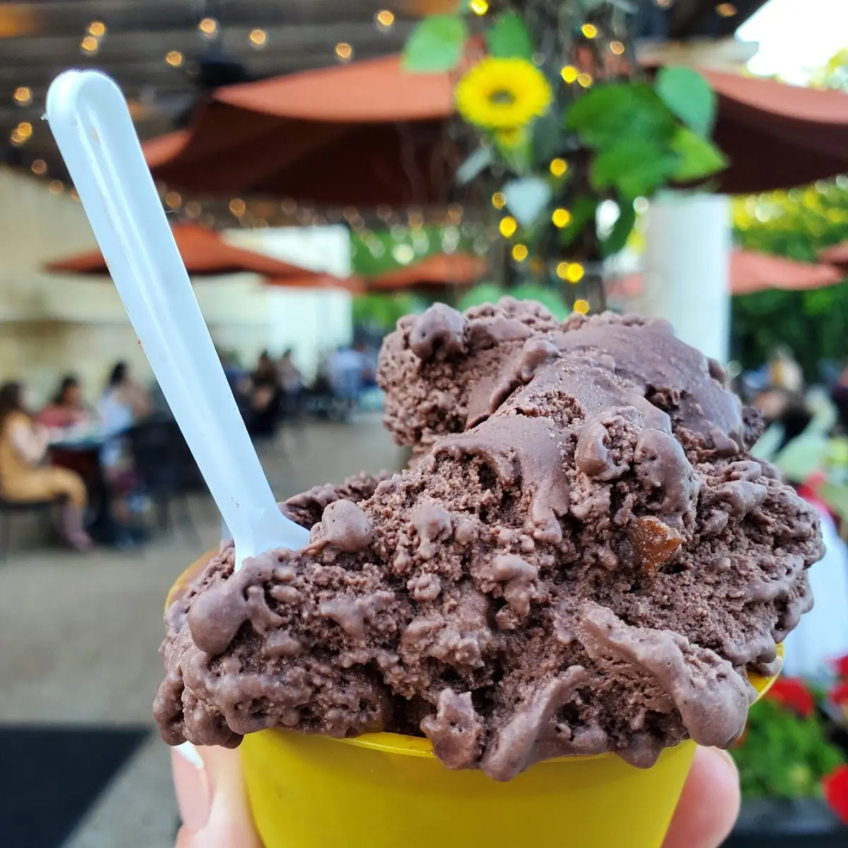Gelato