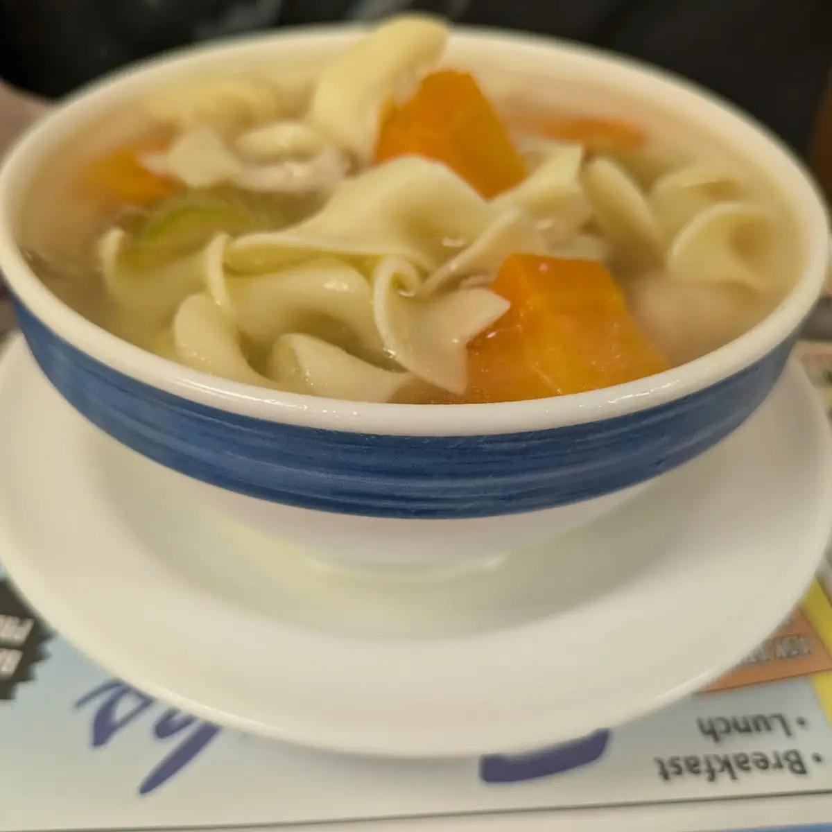 Chicken Noodle Soup
