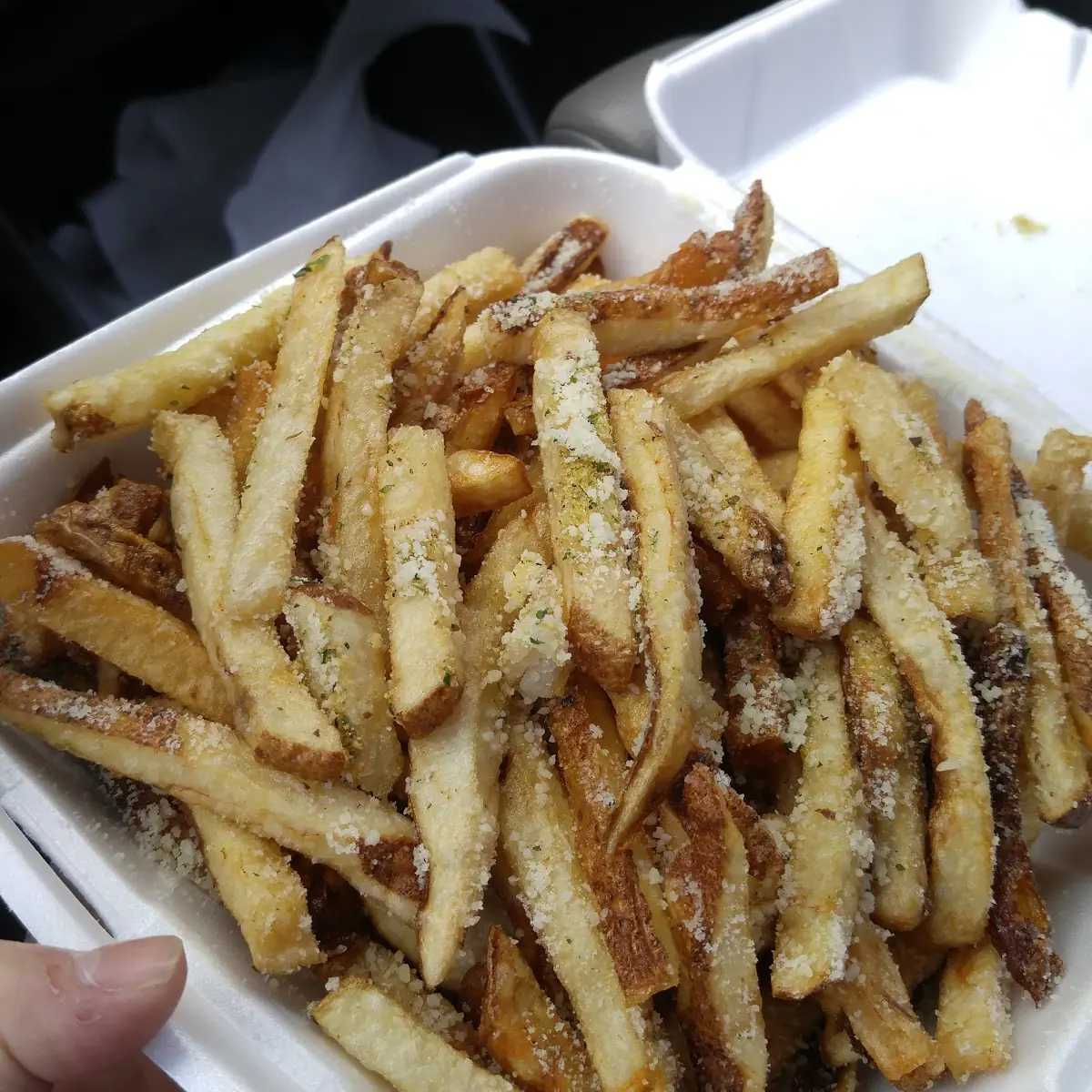 Garlic Parmesan Fries