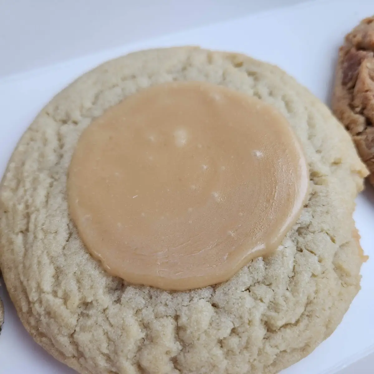Cookie Butter White Chip