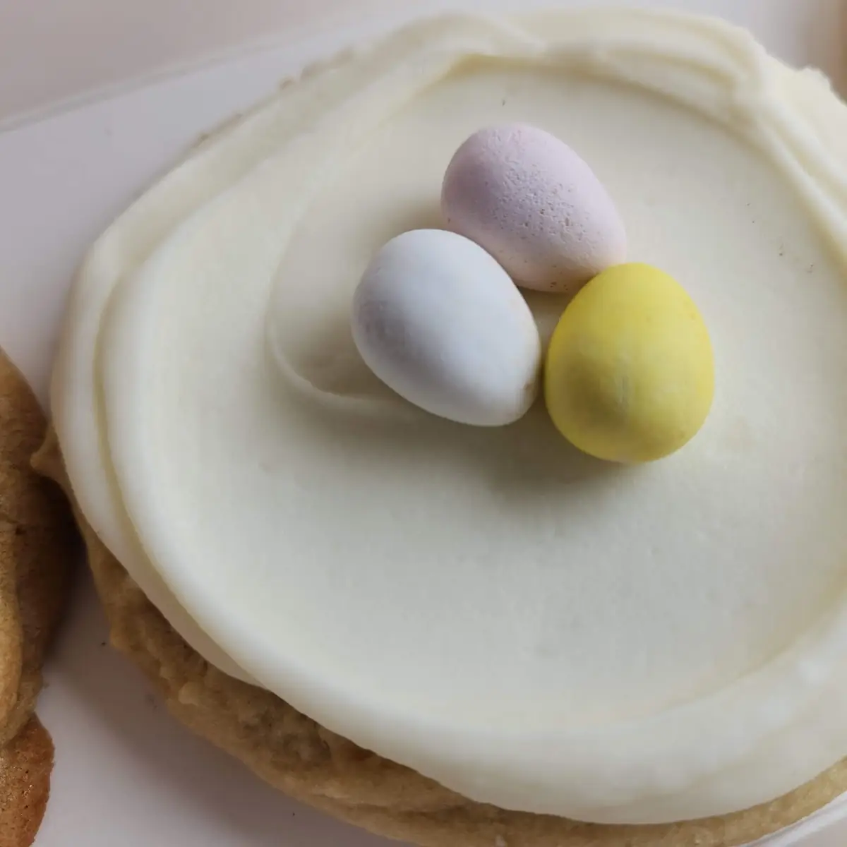 Sugar Cookie