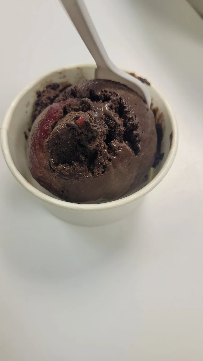 Dark Chocolate Raspberry